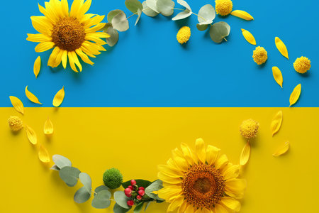 Frame made of sunflowers, petals and leaves on Ukrainian flagの写真素材