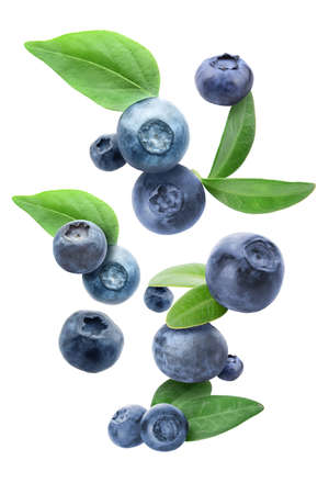 Many flying blueberries on white backgroundの写真素材