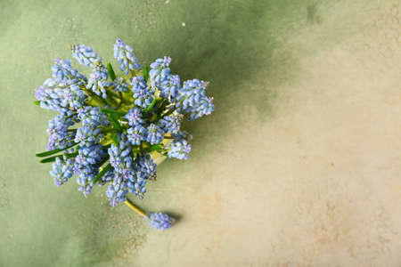 Vase with beautiful Muscari flowers on color background, top viewの写真素材