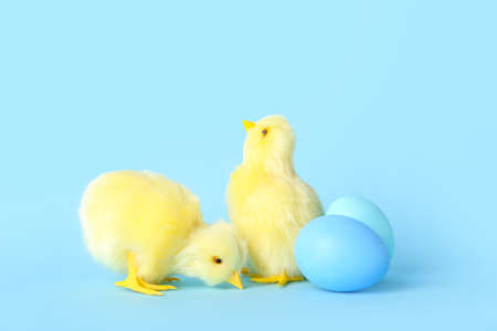 Cute yellow chickens and Easter eggs on blue background