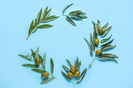 Frame made of green olives and leaves on blue backgroundの写真素材