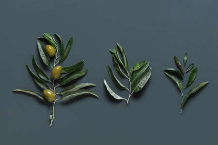 Green olives and leaves on dark backgroundの写真素材