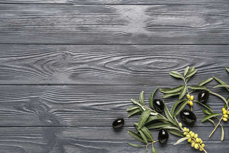 Composition with tasty black olives and tree branches on dark wooden backgroundの写真素材