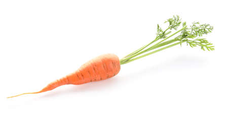Fresh carrot with leaves isolated on white backgroundの写真素材