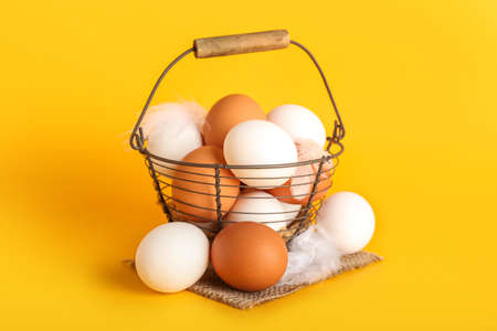 Basket with chicken eggs and feathers on color background