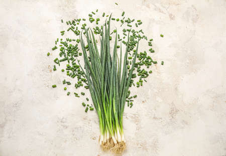 Composition with fresh green onion on light background