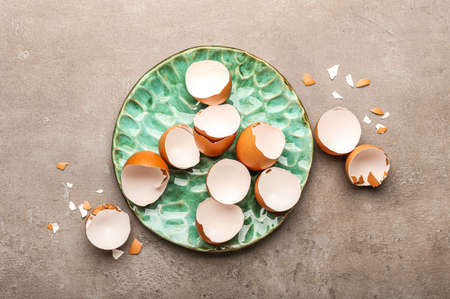 Plate with egg shells on grunge background