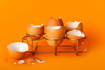 Holder with egg shells on color background