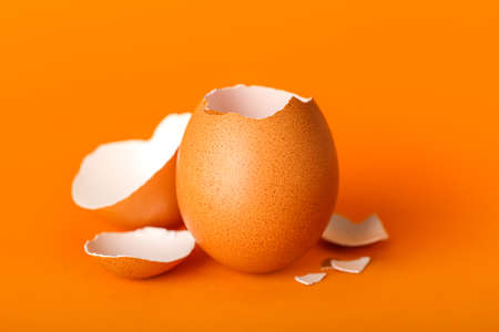 Egg shells on color backgroundの写真素材