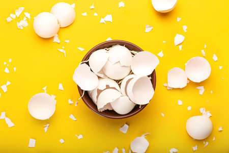 Bowl with broken egg shells on yellow background