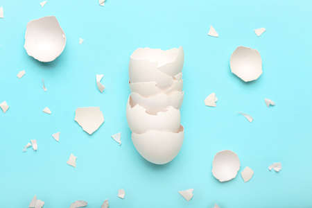 Composition with egg shells on color background