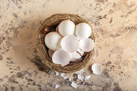 Nest with broken egg shells on grunge background