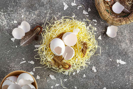 Nest with broken egg shells and feathers on dark background