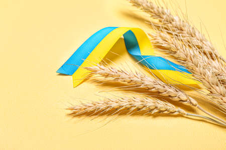 Wheat spikelets and ribbons in colors of Ukrainian flag on yellow background, closeupの写真素材