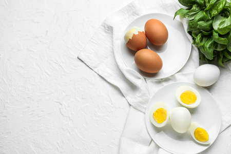 Plates with boiled chicken eggs and basil on light backgroundの写真素材