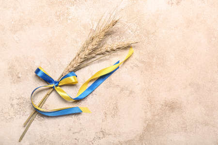 Wheat spikelets and ribbons in colors of Ukrainian flag on grunge backgroundの写真素材