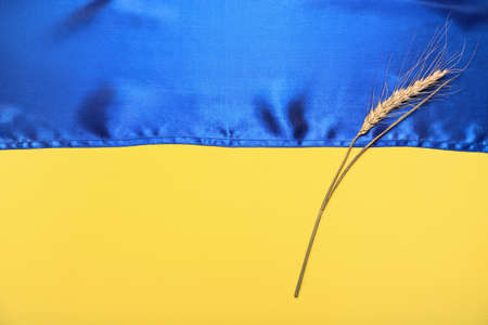 Wheat spikelet on flag of Ukraineの写真素材