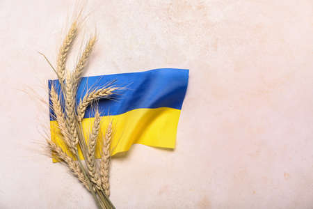 Wheat spikelets and Ukrainian flag on light backgroundの写真素材