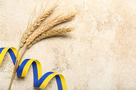 Wheat spikelets and ribbons in colors of Ukrainian flag on grunge backgroundの写真素材