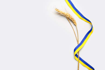 Wheat spikelet and ribbons in colors of Ukrainian flag on light backgroundの写真素材