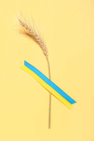 Wheat spikelet and ribbons in colors of Ukrainian flag on yellow backgroundの写真素材