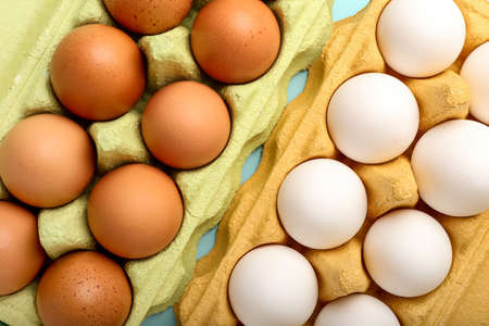 Holders with brown and white chicken eggs, closeup