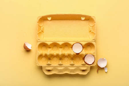 Cardboard holder with egg shells on color background