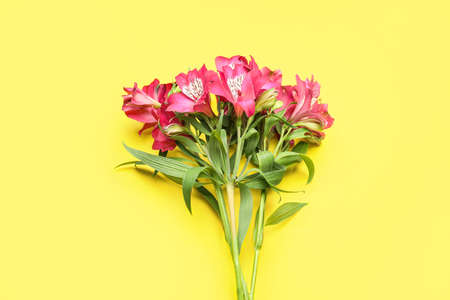 Bouquet of alstroemeria flowers on yellow backgroundの写真素材
