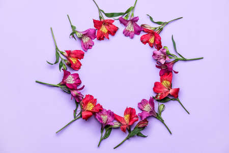 Frame made of beautiful alstroemeria flowers on lilac backgroundの写真素材