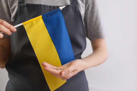 Young woman with flag of Ukraine and wheat grains on gray background, closeupの写真素材