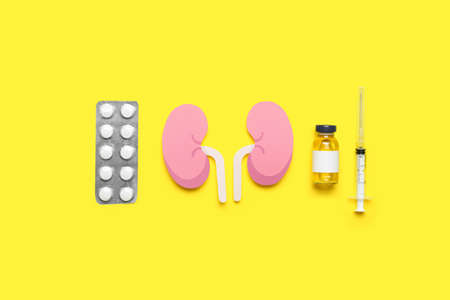 Paper kidneys with pills, ampule and syringe on yellow backgroundの写真素材