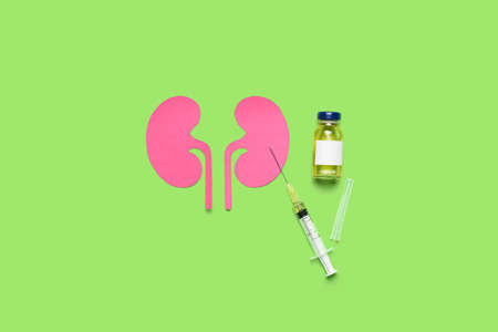 Paper kidneys with ampule and syringe on green background