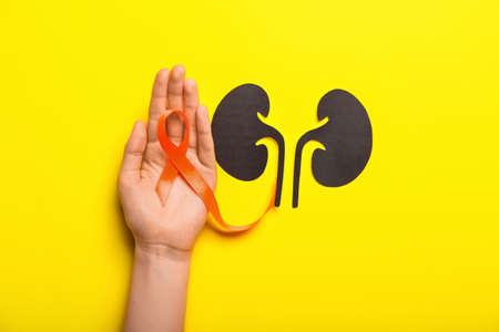 Woman with orange awareness ribbon and paper kidneys on yellow backgroundの写真素材