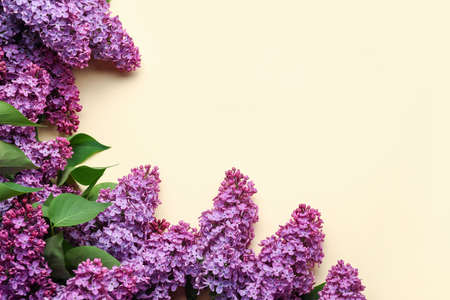 Frame made of purple lilac flowers on beige background
