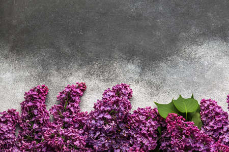 Purple lilac flowers on black and white background
