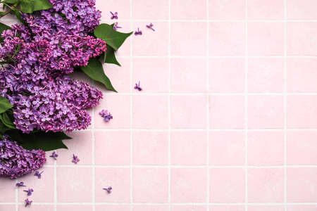 Purple lilac flowers on pink tile background