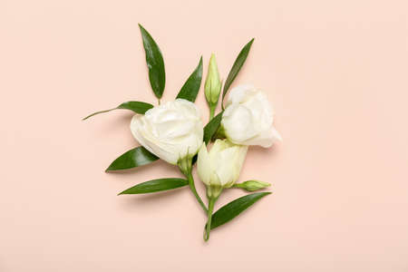 Beautiful eustoma flowers and leaves on pink background