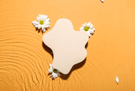 Decorative stand and chamomile flowers in water against color backgroundの写真素材