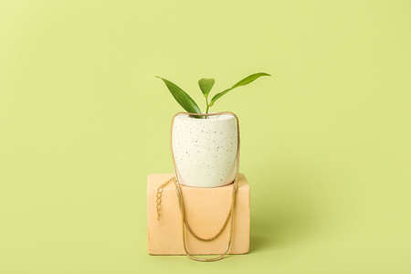 Showcase pedestal with golden necklace and plant branch on green backgroundの写真素材