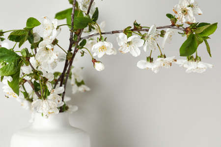 Vase with blooming tree branches near light wall, closeup
