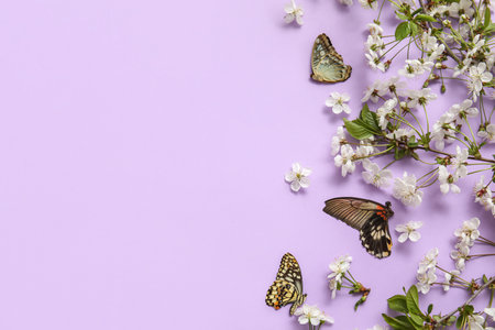 Blooming spring branches and butterflies on lilac backgroundの写真素材