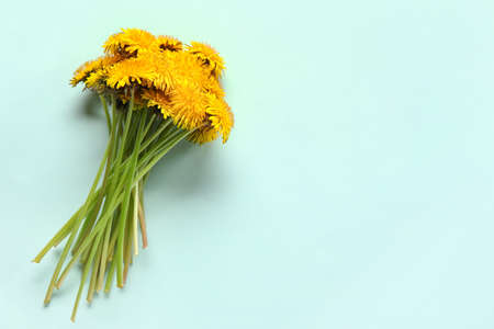 Yellow dandelions on blue background
