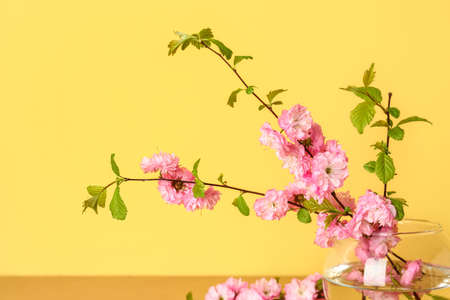 Vase with blooming branches on table near yellow wallの写真素材