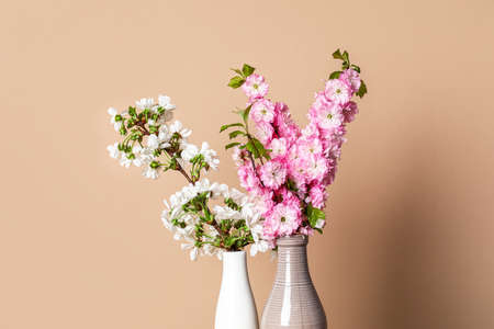 Ceramic vases with beautiful blooming branches near beige wall, closeupの写真素材