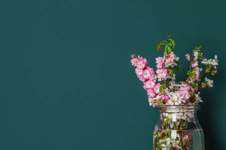 Glass vase with beautiful blooming branches near green wall, closeupの写真素材