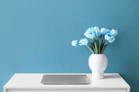 Vase with blue tulips and laptop on table near color wallの写真素材