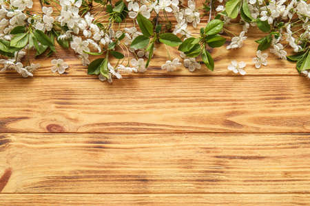 Blooming spring branches on wooden backgroundの写真素材