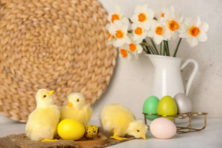 Cute chickens, Easter eggs and flowers on light table