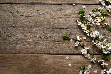 Beautiful blooming spring branches on wooden background