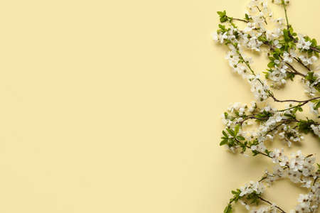 Beautiful blooming spring branches on light color background